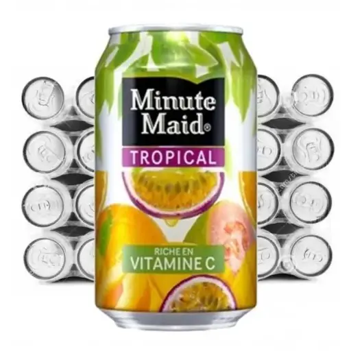 [ART-00062] MINUTE MAID TROPICAL (MULTIVITAMINE) 33CL X24