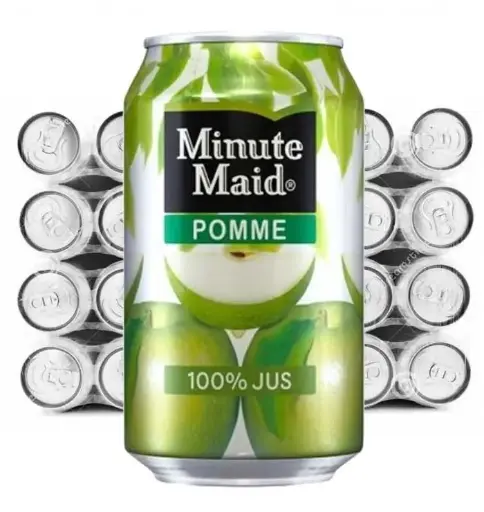 [ART-00454] MINUTE MAID POMME 33CL X24