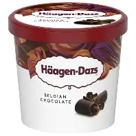GLACE CHOCOLAT BELGE 95ML HAAGEN DAZS 